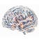 Neural Foundry Substack