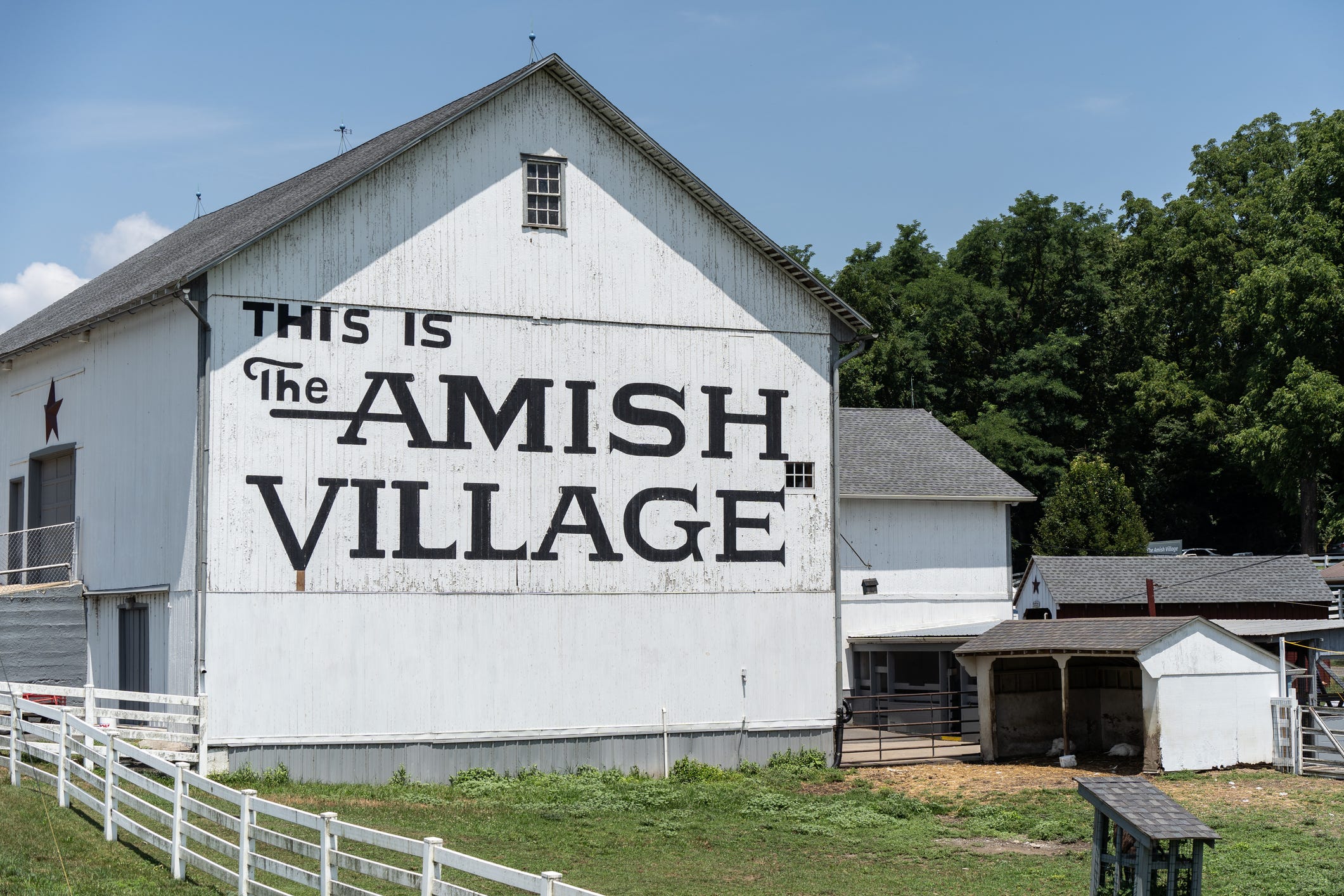 New York Is Ethnically Cleansing the Amish—One Vaccine Mandate at a Time