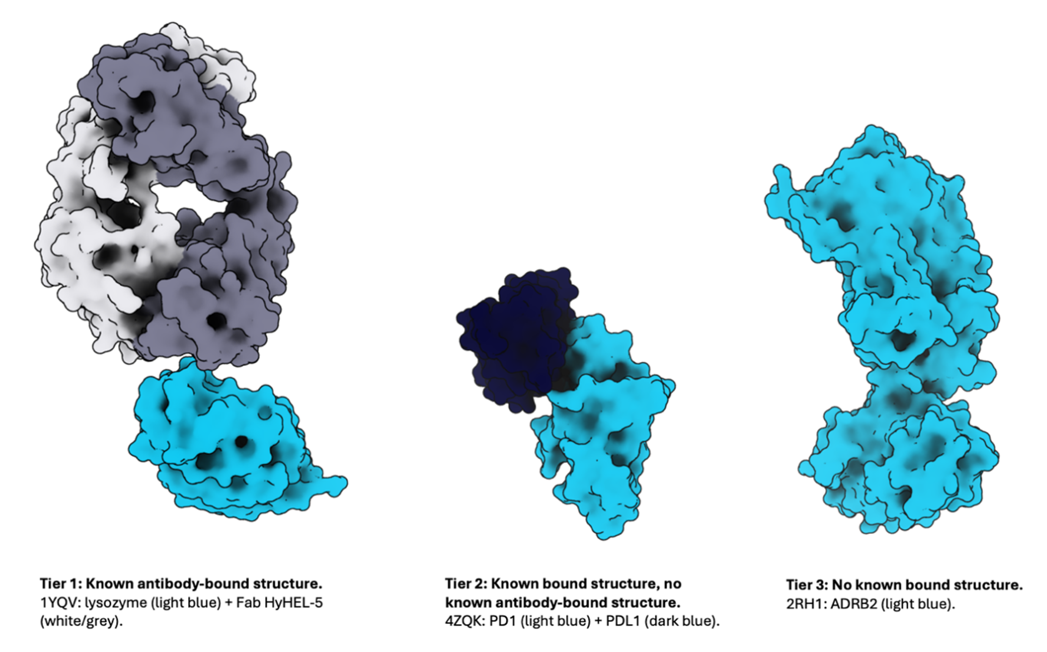 Building antibodies blindfolded: the paradox of de novo design