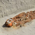 This Week in Archaeology: From Sacred Pools to Sacrificial Burials