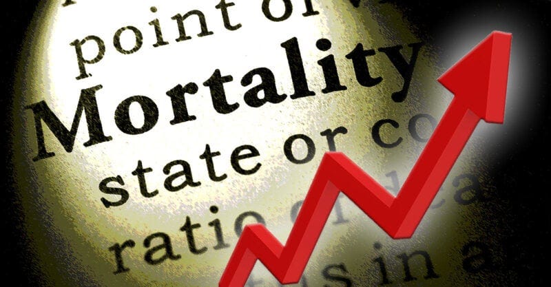 surge deaths young people feature surge deaths young people feature