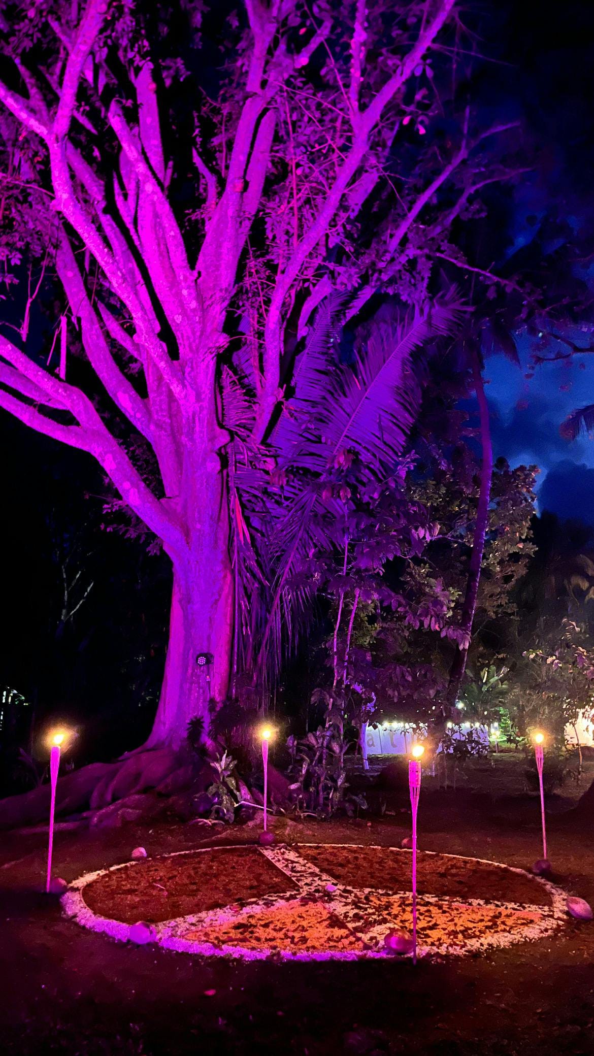 044: Walking the Path 044: Walking the Path