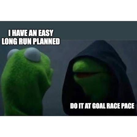 MEME FRIDAY x SPEEDWORK 🏃‍♀️💨⚡️ Runners typically LOVE their speed  workouts because it makes us faster and challenges us cardiovascularly. But  the secret in getting faster lies in your ability to balance : Second Language Strategies