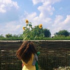 hope as a community practice. come wander with me/us today 🌺