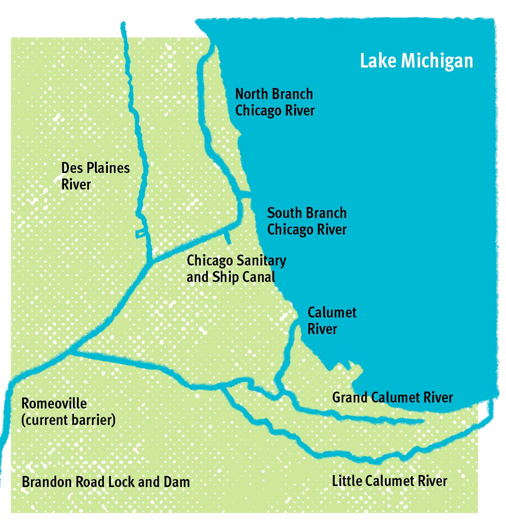 What to Do with the Chicago River? - Belt Magazine