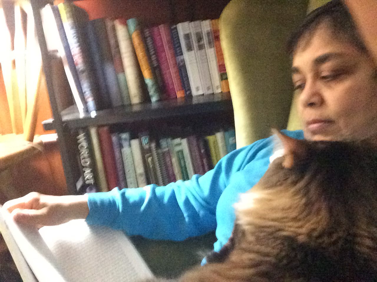 woman reading a book with a cat on her lap