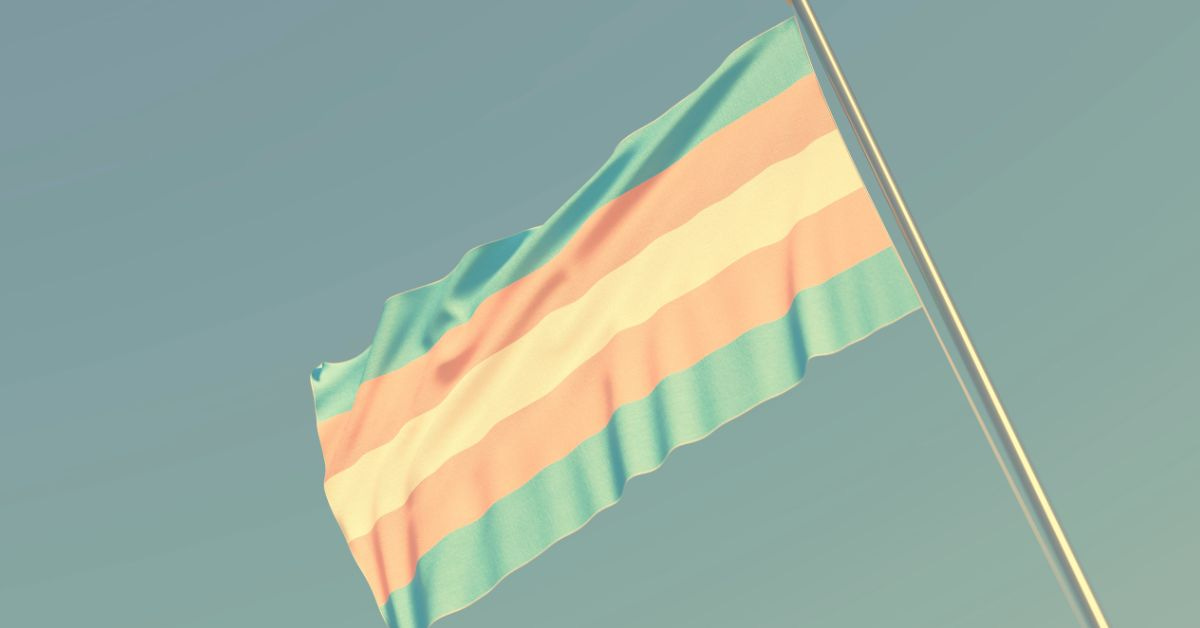 Transgender pride flag waving against a clear sky, featuring light blue, pink, and white stripes representing gender identity and inclusion.