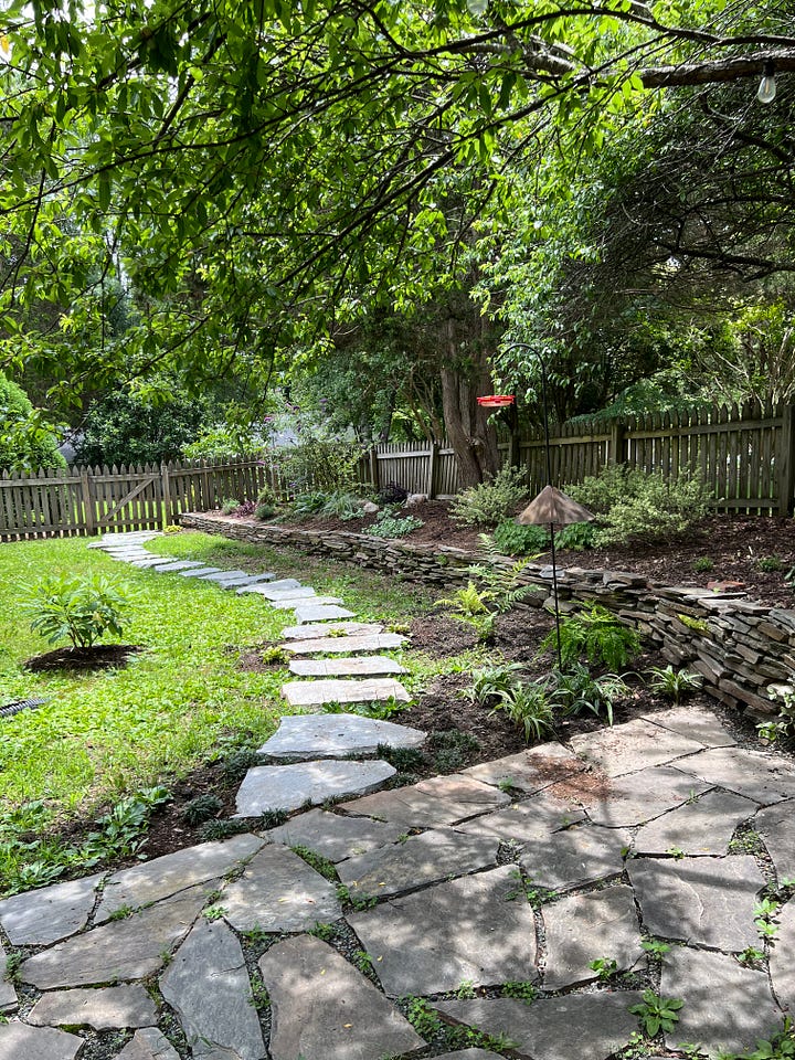 top left: a photo of a sprawling rosebush, top right 3 raised garden beds and a decorative carrot, bottom left: a stone pathway partially covered by a tree, bottom right: a stone pathway and some daffodils and large impatients