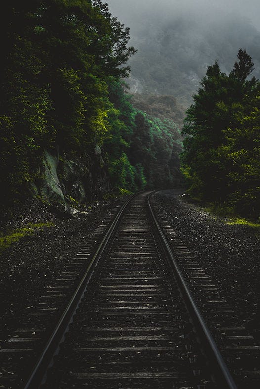 Image of train tracks running through a foggy, forested area. Image of train tracks running through a foggy, forested area.