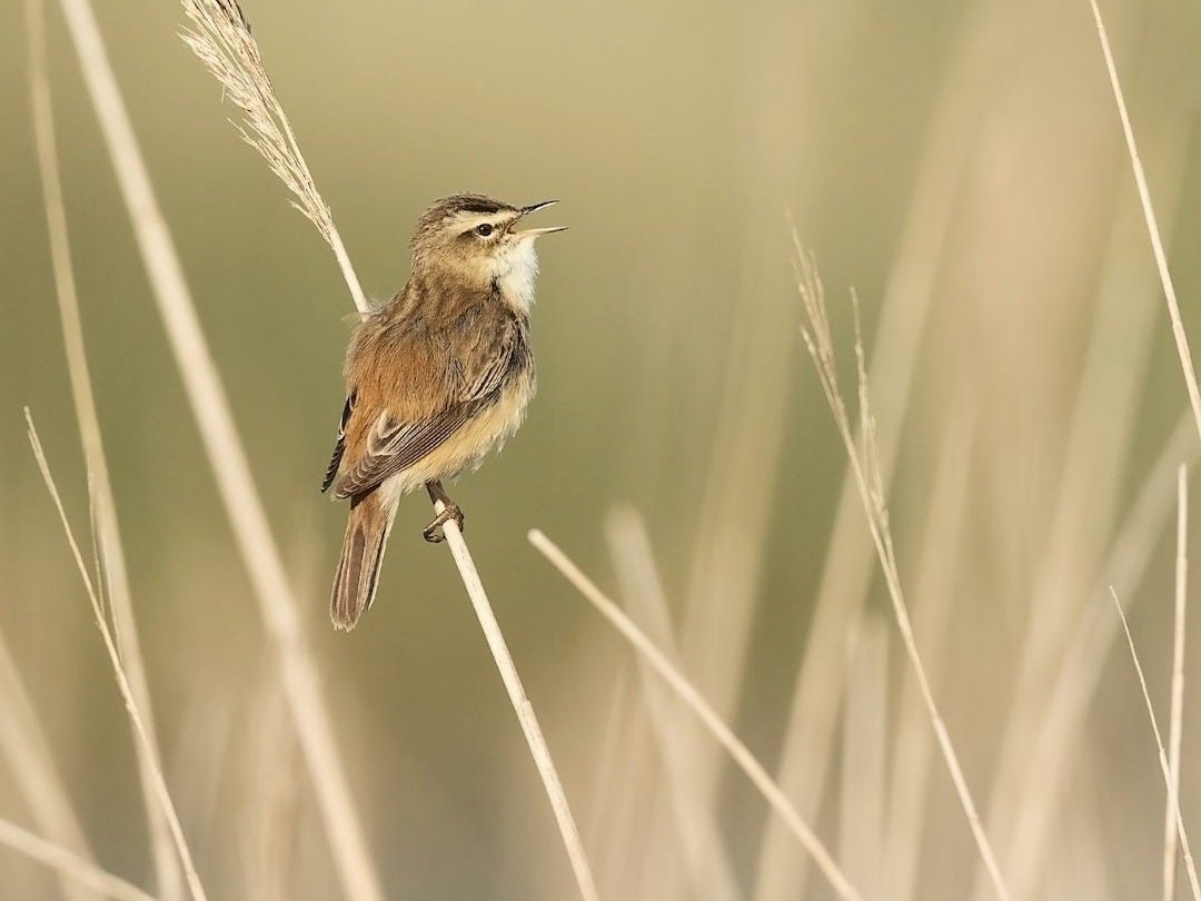 Les 7 Bonnes Nouvelles du Samedi 22 Novembre 2025