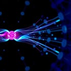 Magnetic Harmonic Resonance — Entry XI: Watching the Medicine Work