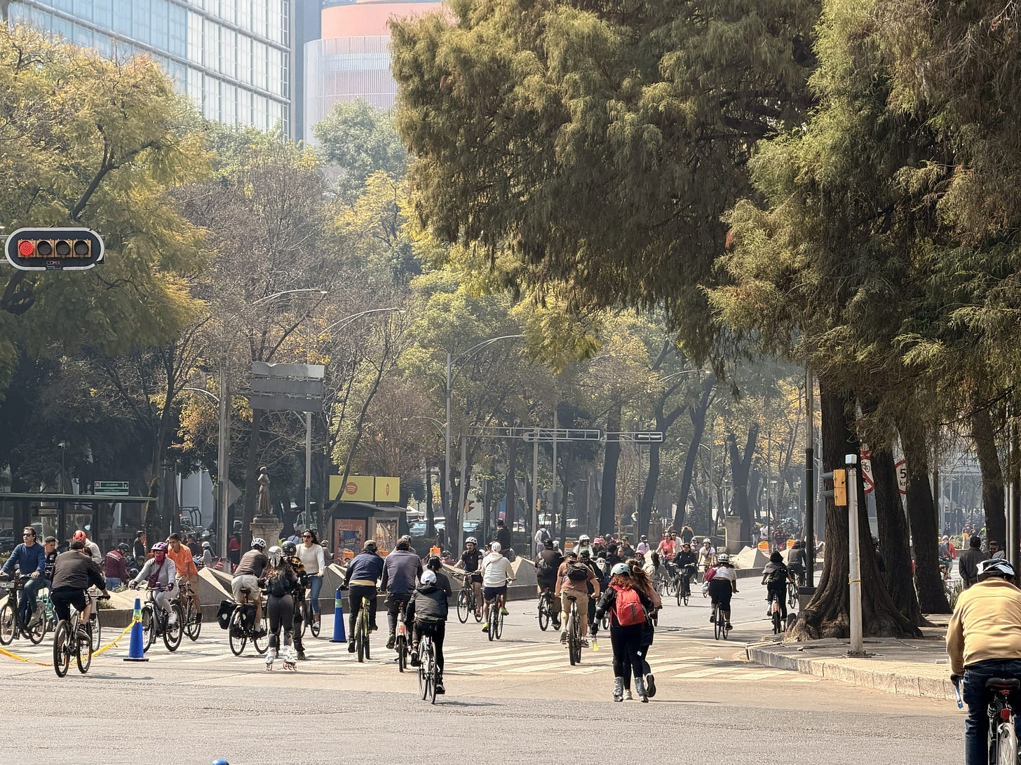 Cyclists on Reforma, Mexico City