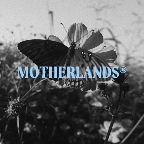 Field Studies by Motherlands