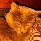 Favorite circadian and quantum lifestyle products in 2024
