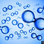 Gates Foundation Funds Injectable Hydrogel Vaccine Tested Against H5N1 Bird Flu: Journal 'Biomaterials Science'