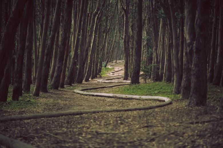 Leading Lines: Guide Your Viewer's Eye