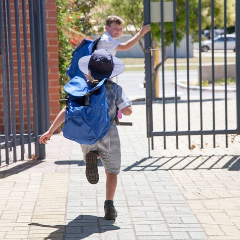 children school gate, karate kids, children on play net