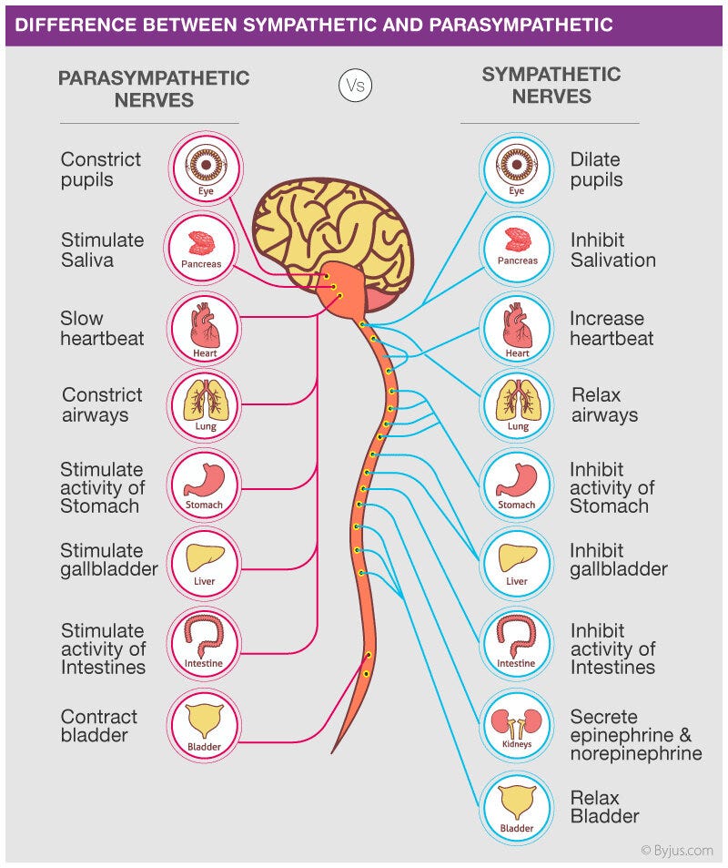 The Migraine Hangover... - Dr. Brandon Brown's Substack