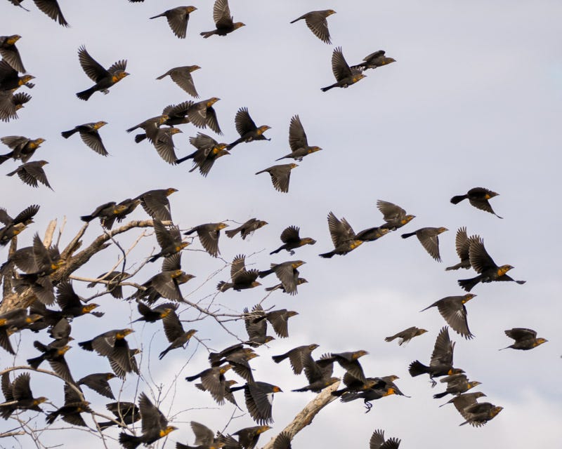 20250906-Manville-235-Edit.jpg 20250906-Manville-235-Edit.jpg