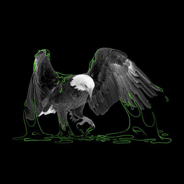 An illustration of an eagle draped and stuck in a green oily substance. 