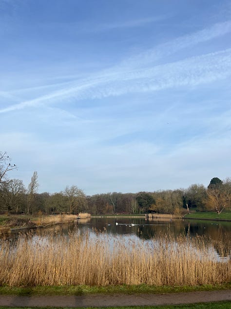 London park walks in foggy and sunny days
