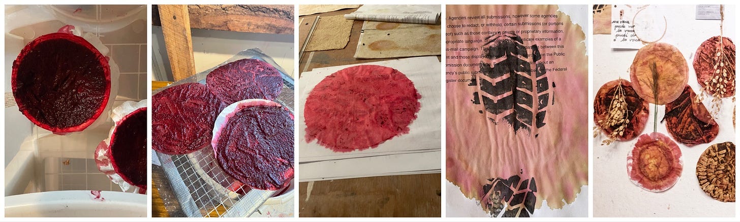 A filmstrip-like photo collage documenting the process of making beet pigment using coffee filters. The sequence shows stages of pigment preparation and experimentation. One image shows a shoeprint pressed onto a circular beet-pigment stain with text visible in the background. Another shows five circular pigment tests arranged in a row, each topped with dried plant material. Handwritten notes, markings, and text visible throughout the collage are part of the exhibition wall and background documentation rather than the individual works themselves.