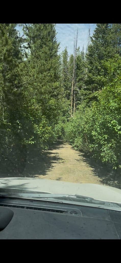 Take the road at the road bend to Horse Creek Pass
