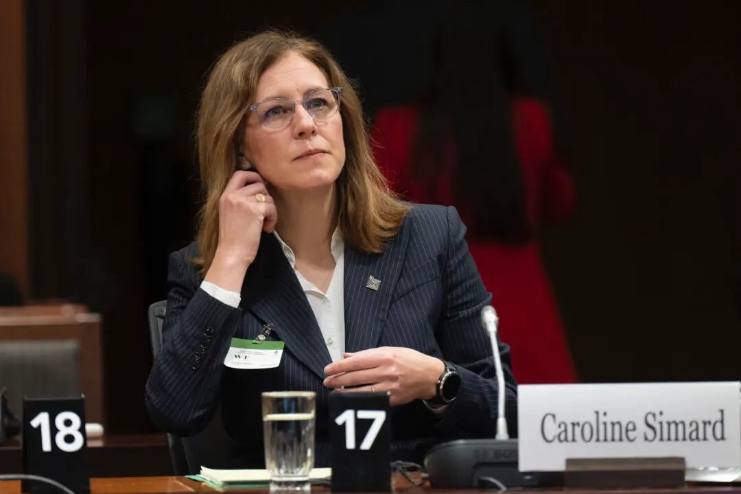 No Indications of Foreign Influence on 2025 Federal Election, Says Commissioner No Indications of Foreign Influence on 2025 Federal Election, Says Commissioner