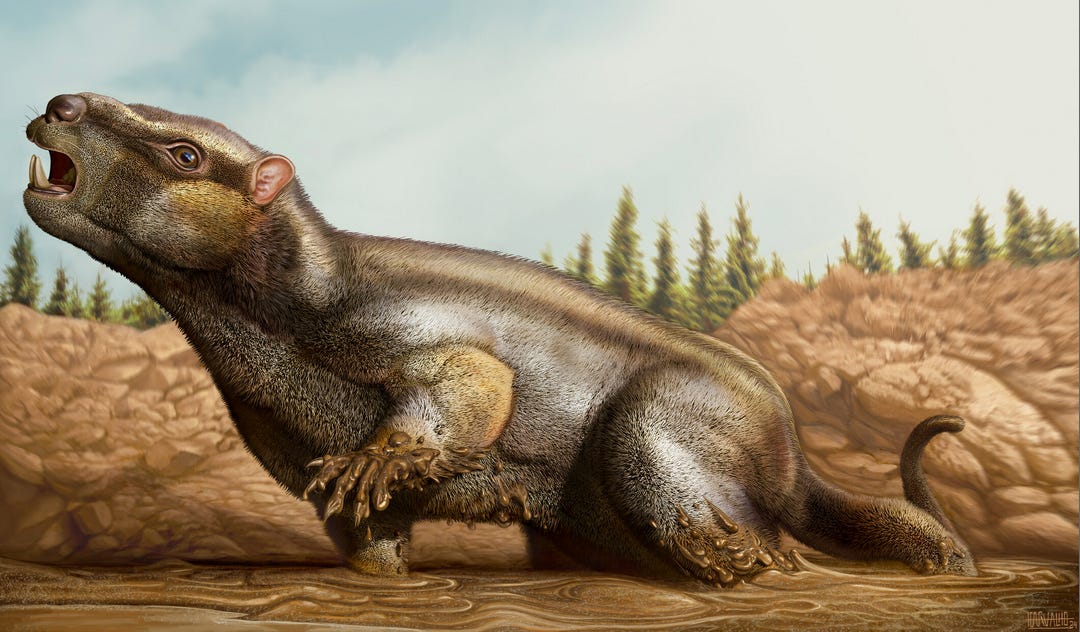 Scientific reconstruction of a multituberculate mammal, a diverse group of rodent-like mammals that survived the Chicxulub mass extinction and flourished during the early Age of Mammals. The small, furry animal is shown moving through a muddy environment, illustrating one of the adaptable mammal lineages that endured after the dinosaurs disappeared and occupied ecological niches left vacant by the extinction event.