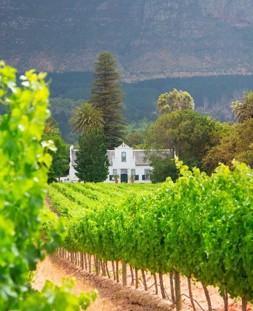 No photo description available.