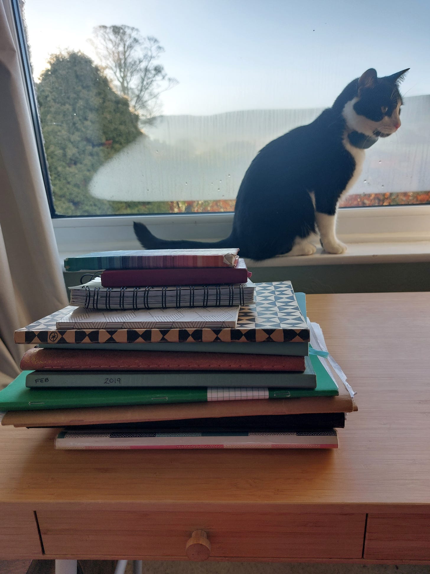 A pile of different sized notebooks in the foreground. A very cute black and white cat is sat on the windowsill in the background