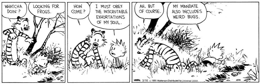 r/calvinandhobbes - I MUST OBEY THE INSCRUTABLE EXHORTATIONS OF MY SOUL. WHATCHA DOIN' ? LOOKING FOR FROGS. HOW COME ? AH. BUT OF COURSE. MY MANDATE ALSO INCLUDES WEIRD BUGS. 3/16 e 1995 Wamerson Distributed by Universal Uclick