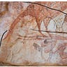Anthropology.net