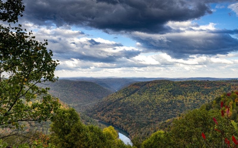 Cheat Canyon in West Virginia. Photo: Jesse Wright/100 Days in Appalachia