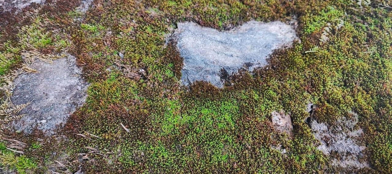 AGAZnRq526y_2xuVo2Jo1m61lksgyIDqIiOyMUXylACcwcBzLFJjyKJPf3Pq2Jt7UcldV1VNfXlBGtLxi_lUZdhsBZ3dnVk_ZMgkDmNy_cOAnpiJkRrCgumgYYm9H5PgpIQhElNdh94WEJksSFTSvtdSaJd8AGSSnlBhJr5OBb_6zgo_32aEUMSnCHICsbjH9sy_ugzBc7AVm7W7C9RIZMsOPtqRyz8PX_Qc6tPnx1JHswn2gNQUw3NVtg80qHb3vBguPdo-KWaaVvtDAg9zUlblk4Dk4UStCmi2qzeh2HKrrYxN63tMpb9NR22Vozl7XEjPNTy2jHZDNcZw6e36p1UiY-xyvgUH4HQT0pURPzDth0LL6tZlauSi1Qyqe7unu1s3DgqzfNmtkkaom81BQC7dZN76ym8Bnm-ObH3j4fq0T3LJbEJntjRO8PxXEH_5BMYZjoIlBM7gvxMxehyziJep2ShI_WDVHMsVv1HZKCqZlukZMlXZJzXuSrPHiKCq-qAM_l2mQ7lGdxHgQPirQtWkSbWWJhTn6mmJrGKAz1pAQUTDAO6m3ORXhZto62mqypzcbcrEzOFLVURFVF9ouZ3ywpGRiQlW8mB7AhF_vDSO-8__U9prjnNsv0ITN2TPVB8eZDczlhCasRctVyBD77maUq8iVZmmRuZIkwloGn89Fxr51WS-hheqALWf8Pwx89Ow3VQS-en9IPyV4bDchBwOy_nxZ8849YBam32_uNLEjE1H88IC9UUqGsQ0emz7BhLAcG2CKJBmizHOWCHEd0H9zIGIUdauYvBSletKMS7RsWvauJ8Q6O2EMwF7Mw2xW1PVhjCOYENlI33SiLO_roe9YWHF-qySxxhqRSMfglTCsOYlRdDQAwjHszlaVexOn0eEPXYwdM2CTDc-6avImxulp2yCih6a2gXkJVZT-Vngsc8uJ-SHlTsUAfBiMBhUHIQ1geF3S3-1rtWi3Up4beiucDGl716PRr0kn97-nO-lJRDcqEiBAmtdD7wOBEhWIdJwmGbWISNqPJtmybFEzVZwmyPXN_WM0tsVRpVCS54kX6-CWa2UYQrtByIlQ8DJO7dOlb3YbQ0q3bWbowLK9DvLIoLNEuwRWgval_yQVp_uV4VyRZNjPoGksMGusWFF=s0-l75-ft (1280×570)