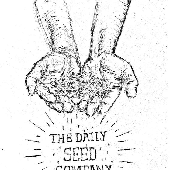 The Daily Seed Company