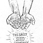 The Daily Seed Company