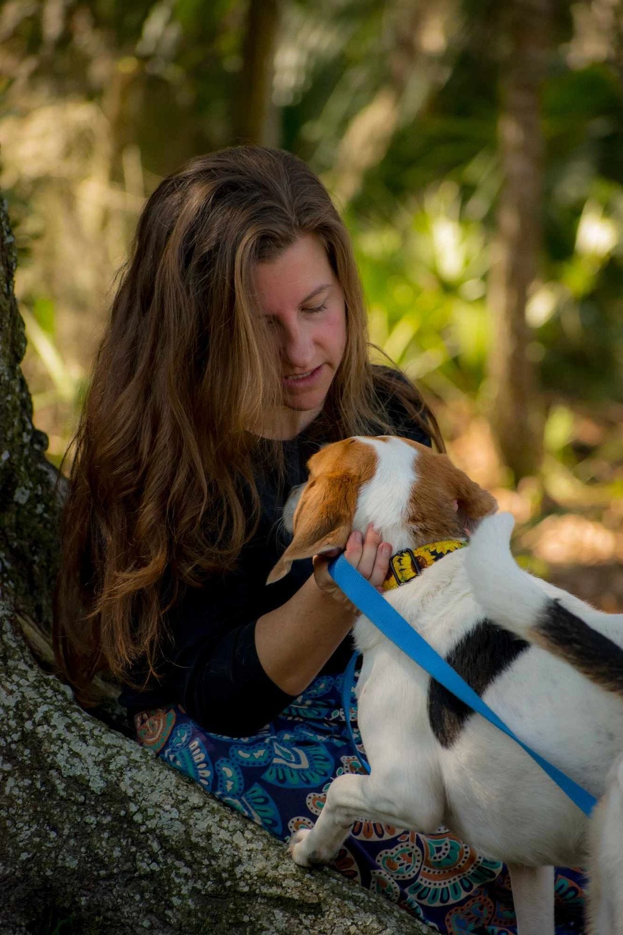 Animal communication helps practitioners understand an animal’s emotional state and needs, providing a more personalized and effective healing experience. Animal communication helps practitioners understand an animal’s emotional state and needs, providing a more personalized and effective healing experience.