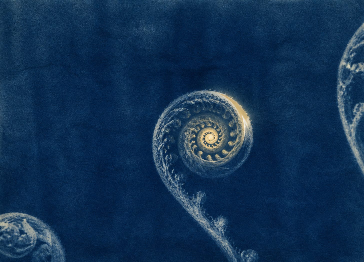 A luminous fern coil turning inward while a seam of light begins to emerge.