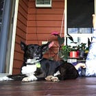 Pilates Exercise Dive: Single Leg Circle