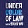 Under Color of Law with Shan Wu