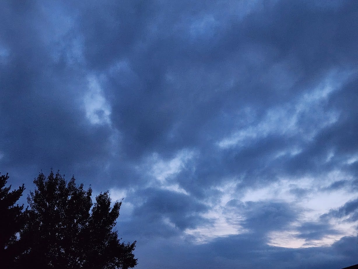 Picture of a twilight sky with dark clouds and the top of a tree in the bottom left corner.