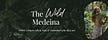 The Wild Medeina's Substack