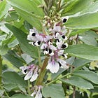 Building Community in Grief: How staying small nurtures connection