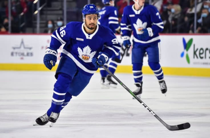 Should the Toronto Maple Leafs Call Up Josh Ho-Sang? Should the Toronto Maple Leafs Call Up Josh Ho-Sang?