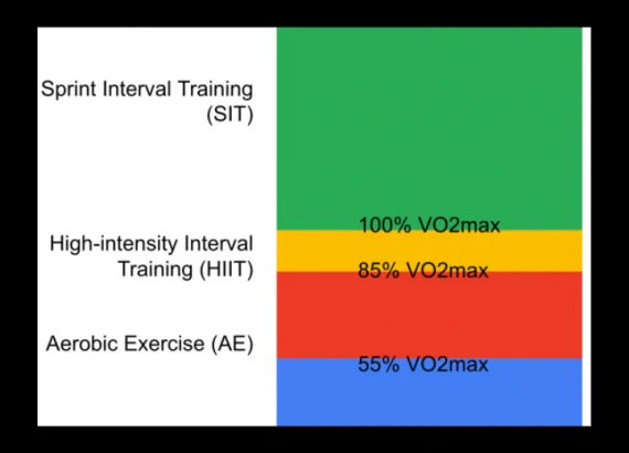 Levels-of-VO2-Max