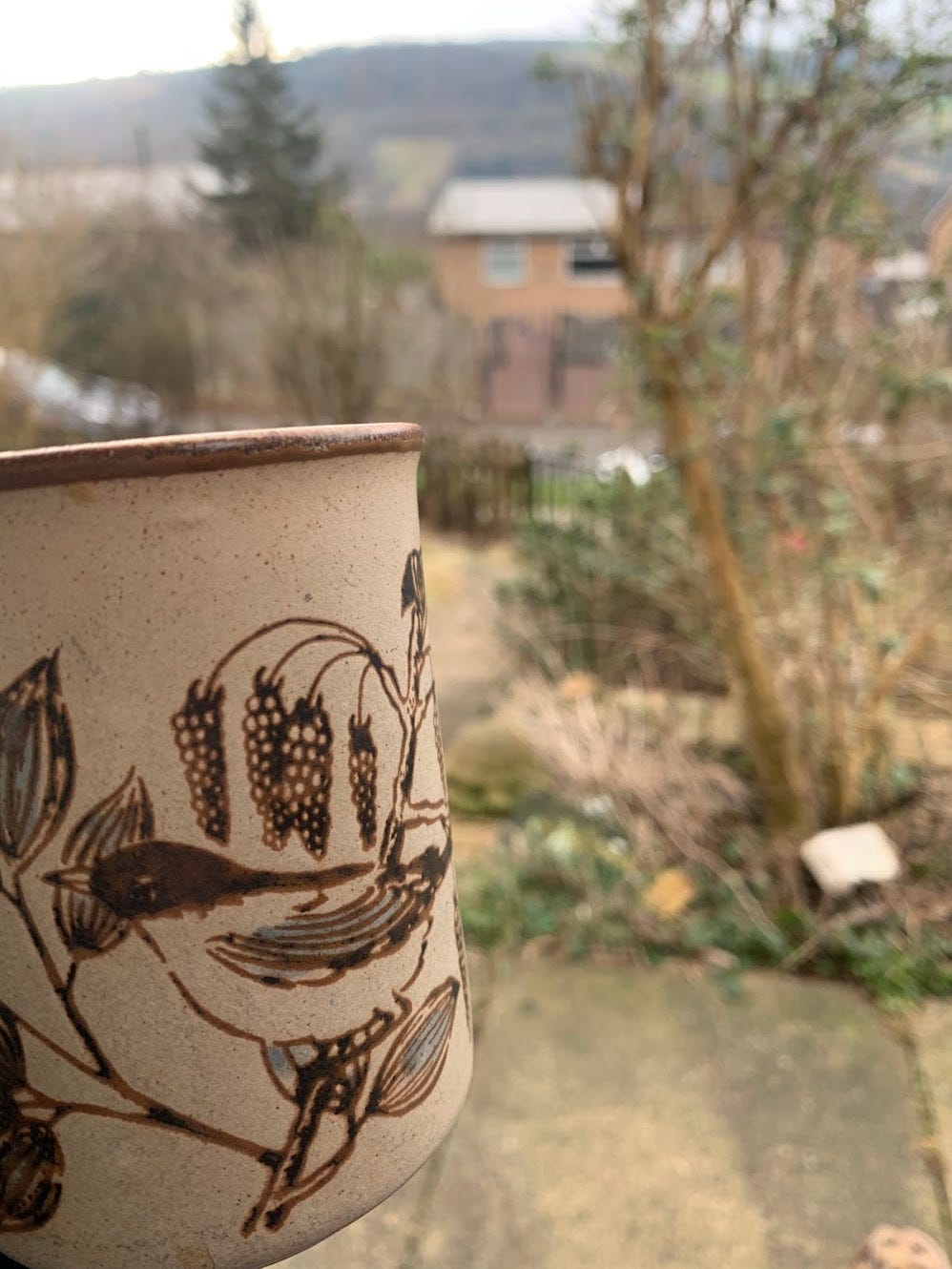 a picture of a mug of tea being drunk in the front garden