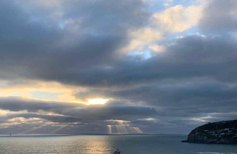 An urgent Open Letter to all Members of Parliament 4 Gene Tech bill opinion