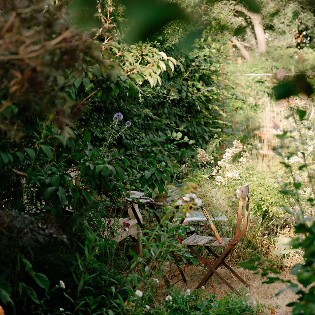 A rustic wooden folding chair and small table tucked into a lush, sunlit garden surrounded by dense green hedging, wild growth, and purple globe thistles.
