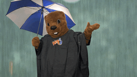 Weather Underground GIFs - Find & Share on GIPHY